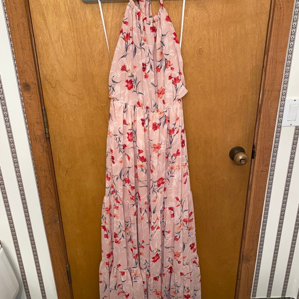 Red Dress Boutique Floral Maxi (Blush)